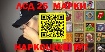 МДПВ Тула