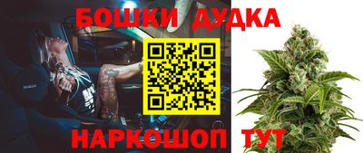 МДПВ Тула